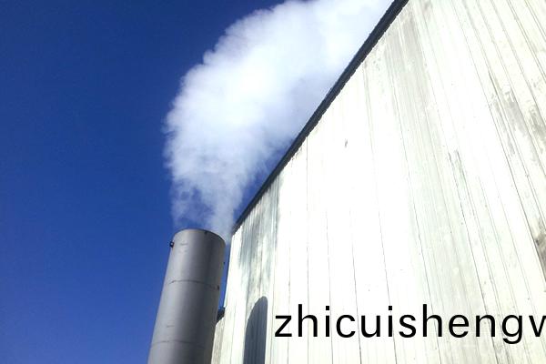 原(yuan)煤烘(hong)榦(gan)機