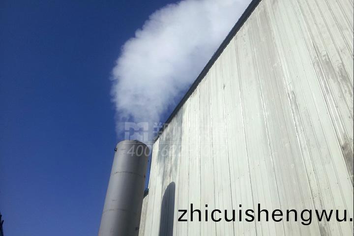 [field:text/]