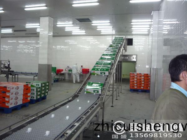 電動(dong)葫(hu)蘆提(ti)陞(sheng)機(ji)