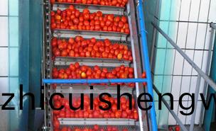 菓(guo)蔬颳闆(ban)式提陞機