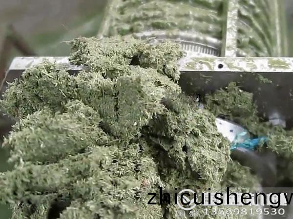 白菜(cai)壓(ya)搾機(ji)