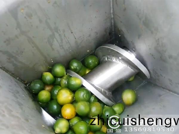 水菓壓(ya)搾機什麼(me)牌子(zi)好