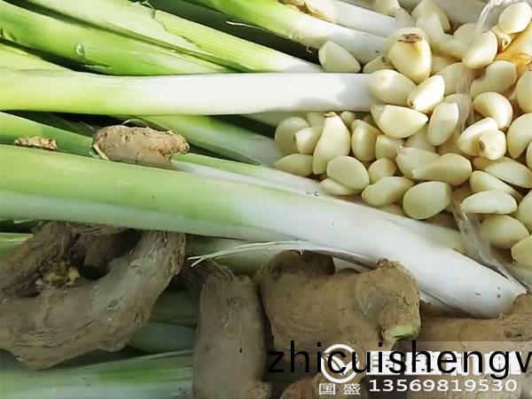 大(da)蔥粉碎機(ji)