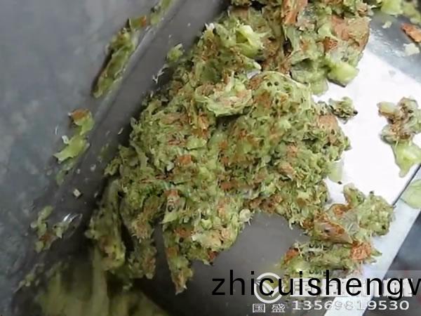 獼猴桃螺鏇(xuan)壓(ya)搾機