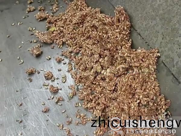 石(shi)榴(liu)汁壓搾(zha)機