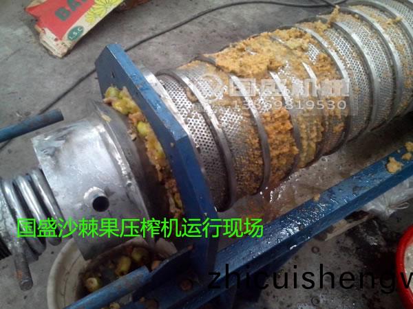沙棘(ji)菓(guo)破碎(sui)壓(ya)搾機