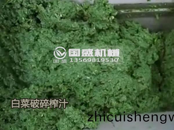 生(sheng)薑芹(qin)菜(cai)搾汁脫水(shui)壓(ya)搾(zha)機(ji)