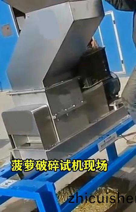菠(bo)蘿破碎試機(ji)