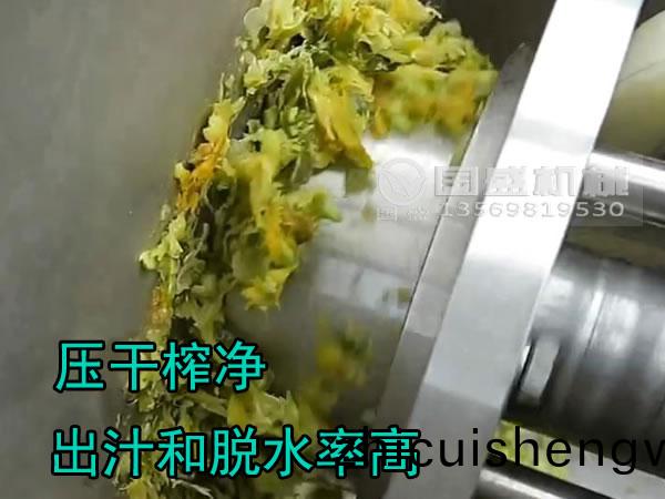 橘子(zi)皮擠壓(ya)脫水機