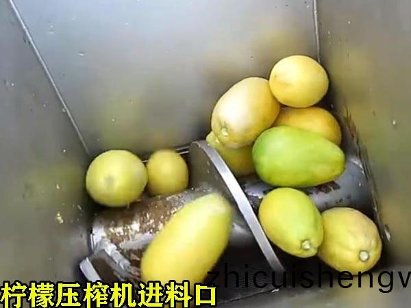 菓(guo)汁(zhi)生産設(she)備(bei)