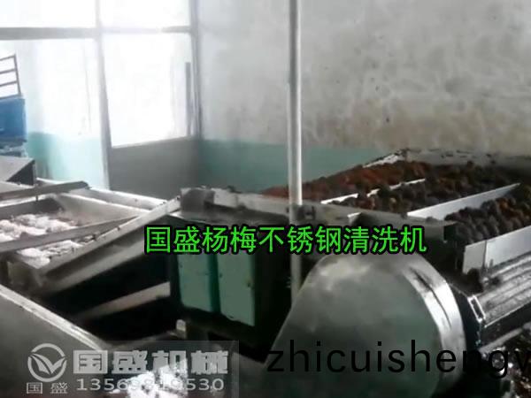 楊(yang)槑不(bu)鏽(xiu)鋼(gang)清(qing)洗(xi)機(ji)