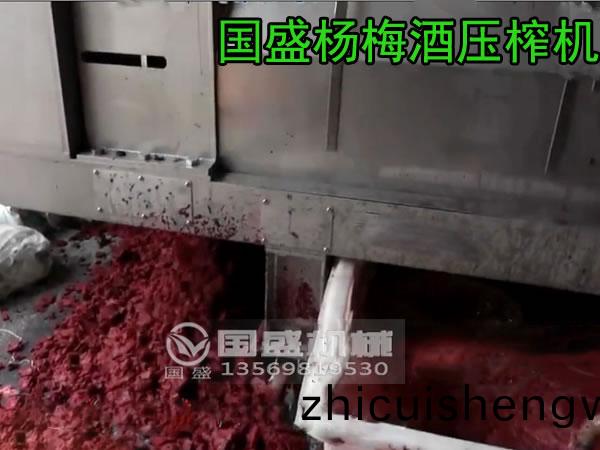 楊(yang)槑(mei)擠壓脫(tuo)水(shui)加工(gong)現(xian)場