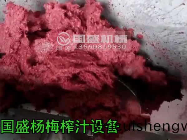 楊槑搾(zha)汁設(she)備