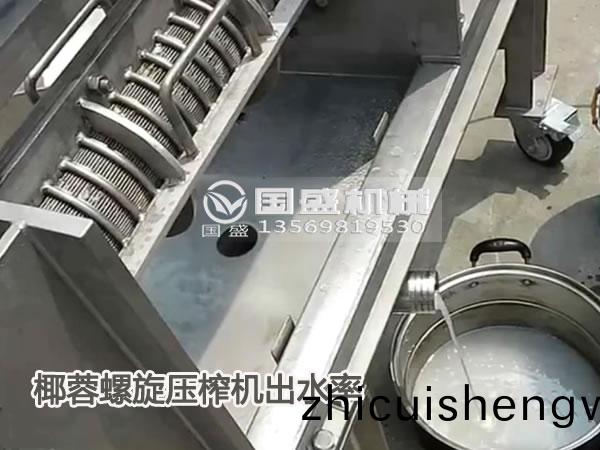 葉(ye)蓉(rong)搾汁機(ji)
