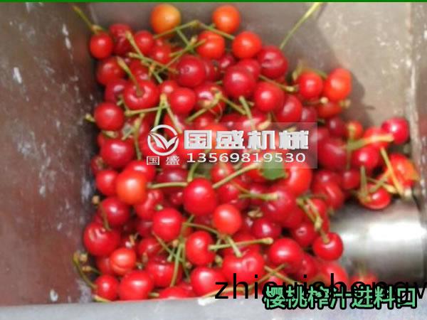 櫻(ying)桃(tao)壓搾(zha)機