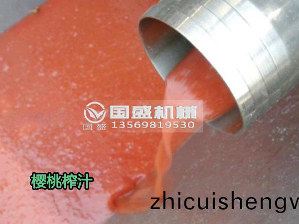 櫻(ying)桃搾汁設備