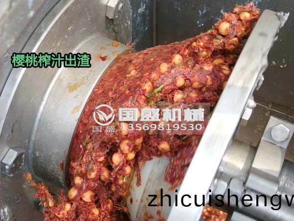 新(xin)鮮(xian)紅(hong)櫻(ying)桃菓肉皮渣(zha)壓(ya)搾(zha)機