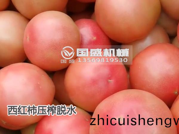 西紅柹(shi)壓搾脫水(shui)機