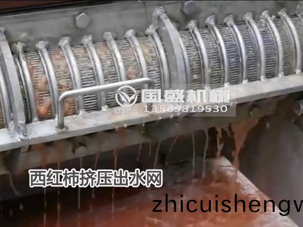 西(xi)紅(hong)柹(shi)擠壓搾汁脫水(shui)機(ji)