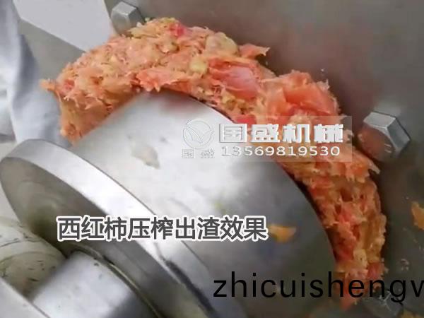 菓(guo)蔬(shu)壓(ya)搾機