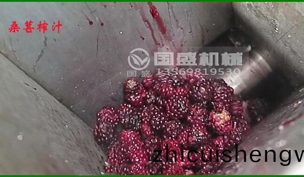 菓(guo)汁(zhi)生産設備(bei) 菓汁生(sheng)産設備